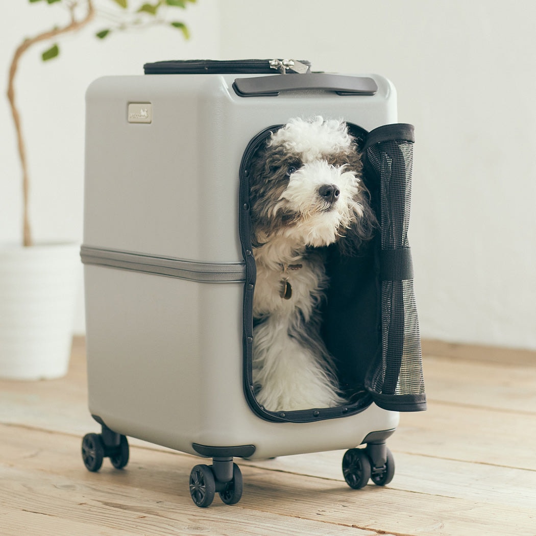 プレミアムスーツケース