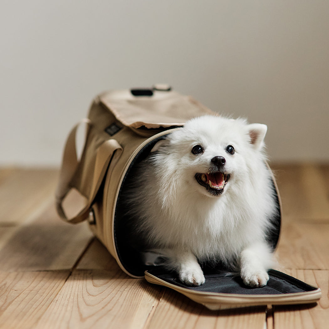 プレミアムスーツケース